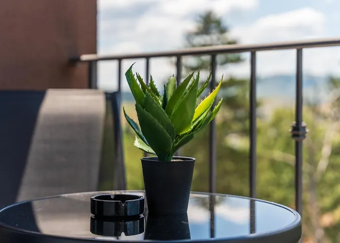 The Point Apartment In Titova Villa Zlatibor